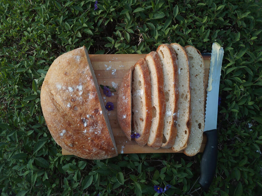 Vanilla coconut muffins