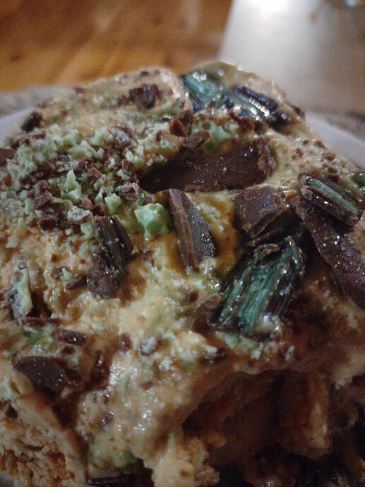 Decadent peppermint caramel dessert